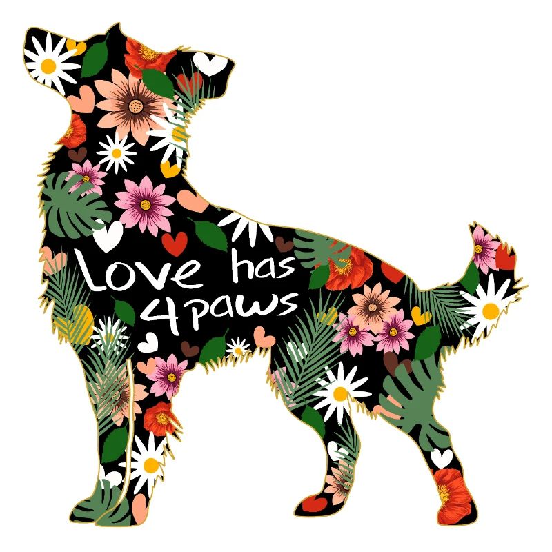 Border Colli floral pattern