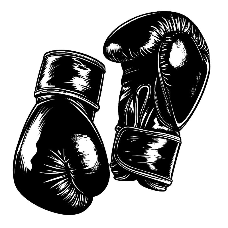 Gants de boxe Boxe Boxer Boxer