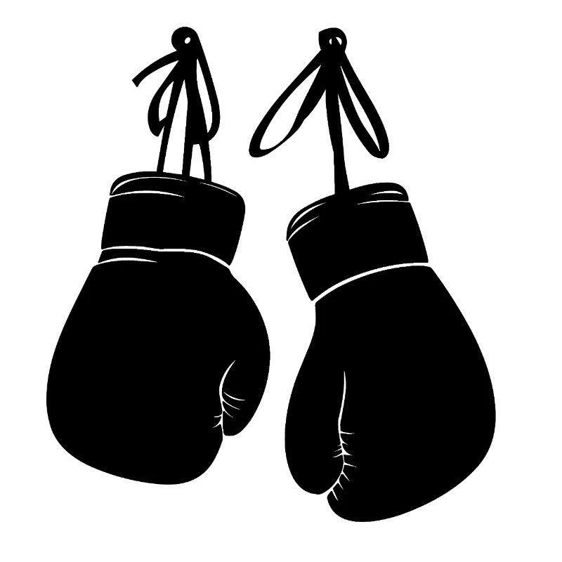 Gants de boxe Boxe Arts martiaux Fighter Boxing Ring