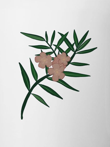 Oleander Flower Branch