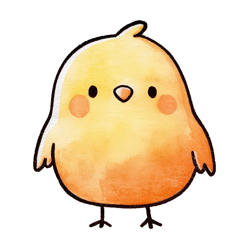 Chick, a cute children's gift