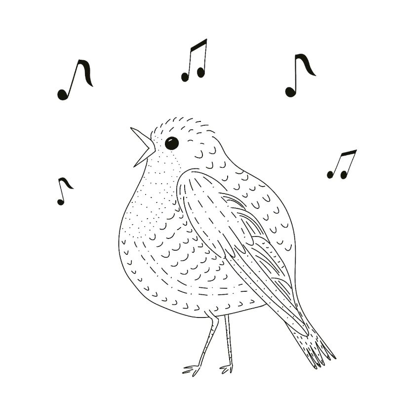 Eleganter singender Vogel in Schwarz-Weiß