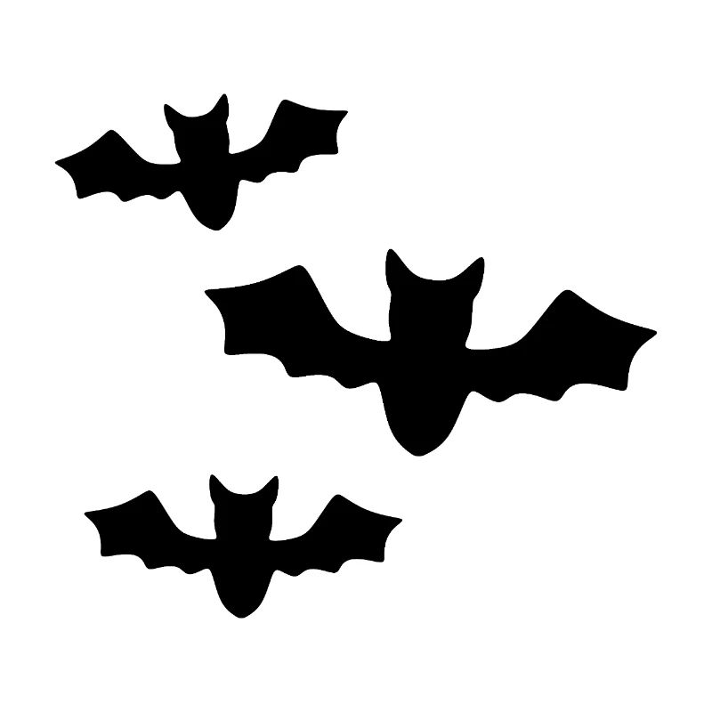 Chauves-souris noires