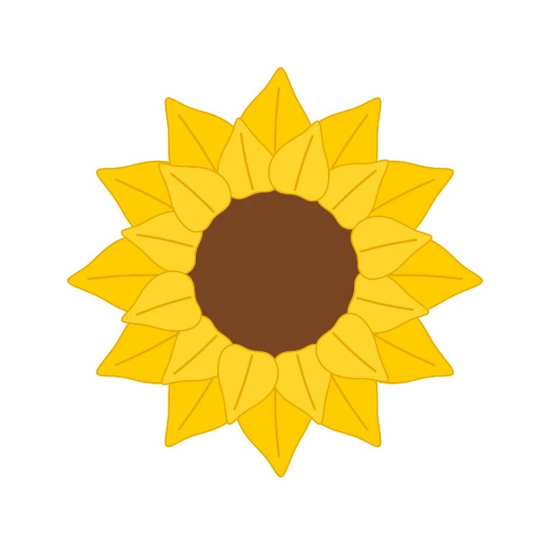 Sunflower Petal Pattern Illustration