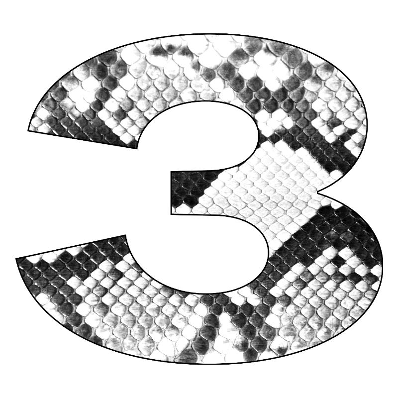 Snakeskin Pattern Number 3