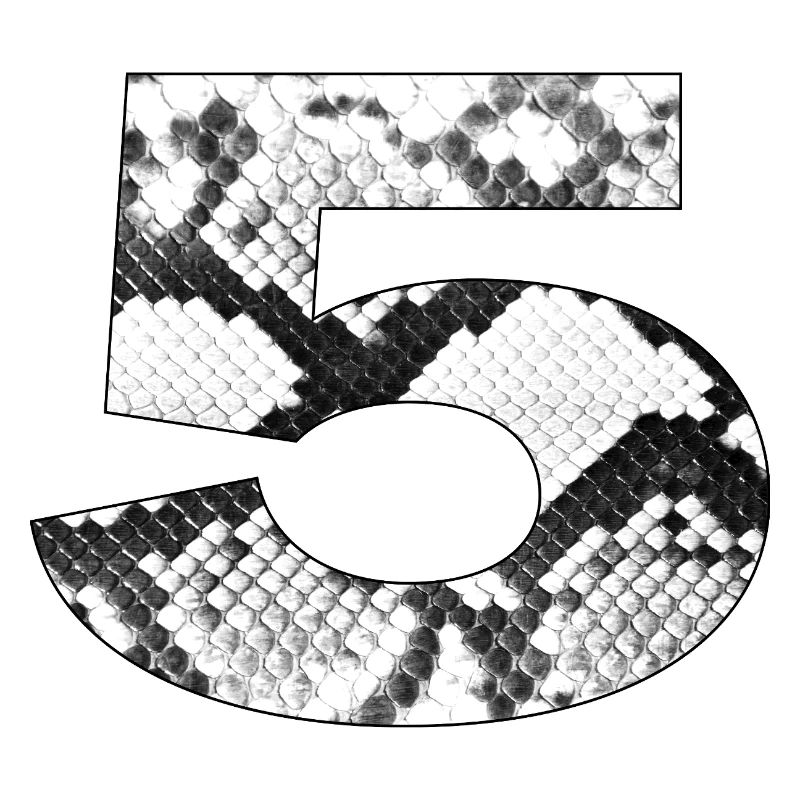 Snake Pattern Number 5