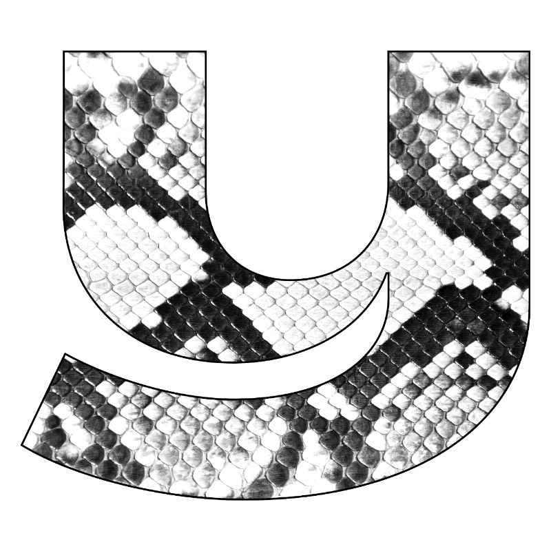Snake leather pattern letter y