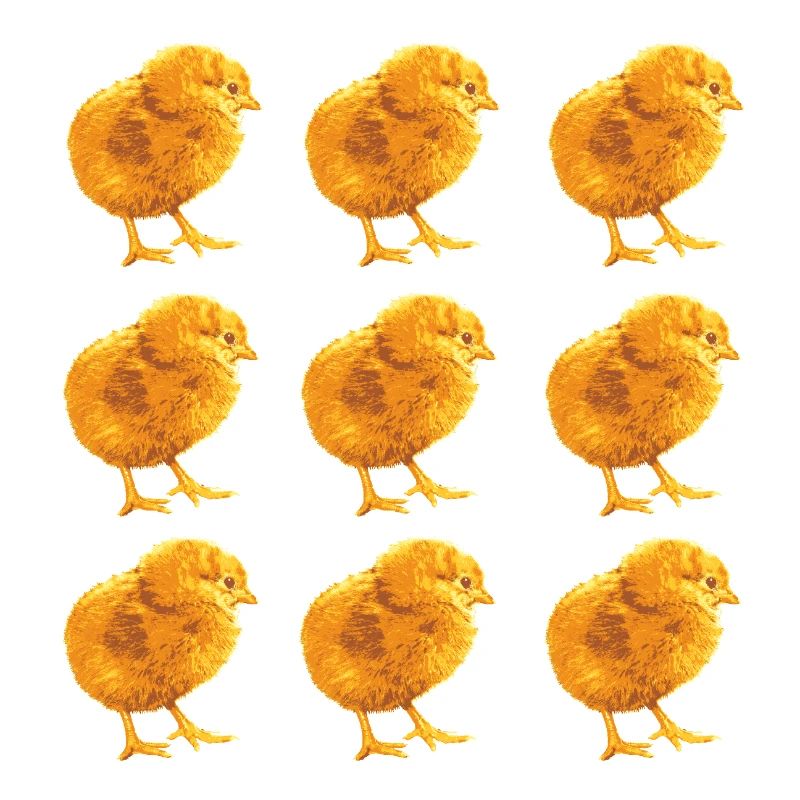 Chick Pattern for Spring and Nature