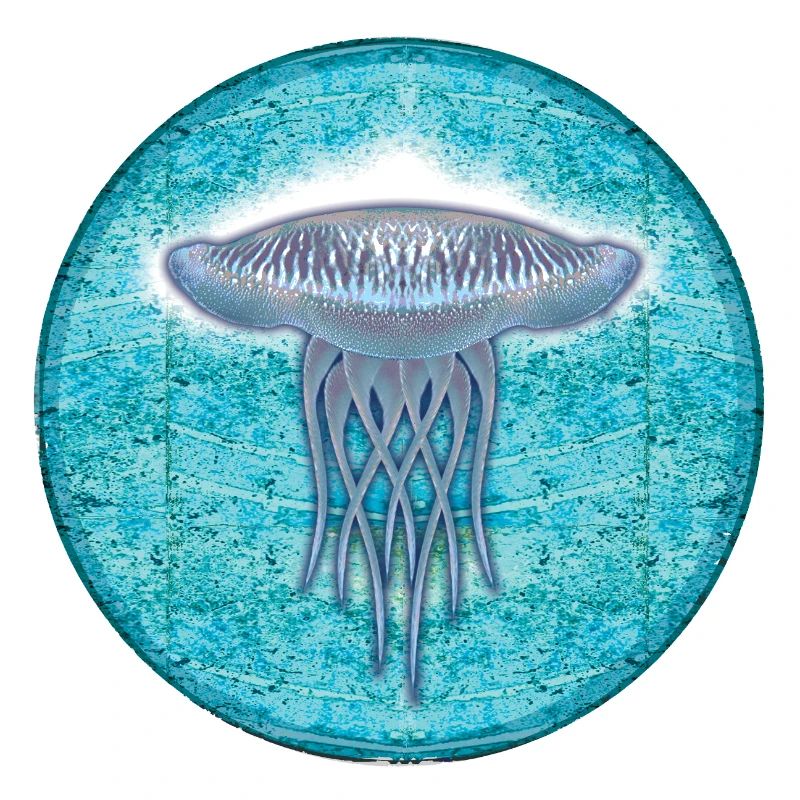 Illustration de méduses sous-marines