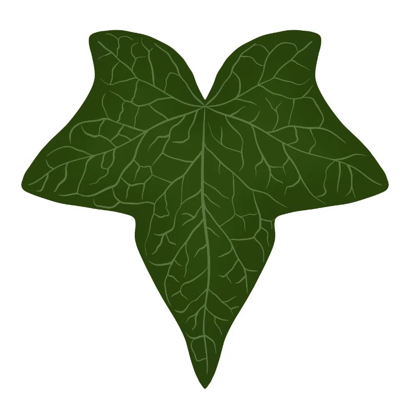 Elegant Green Ivy Leaf Pattern