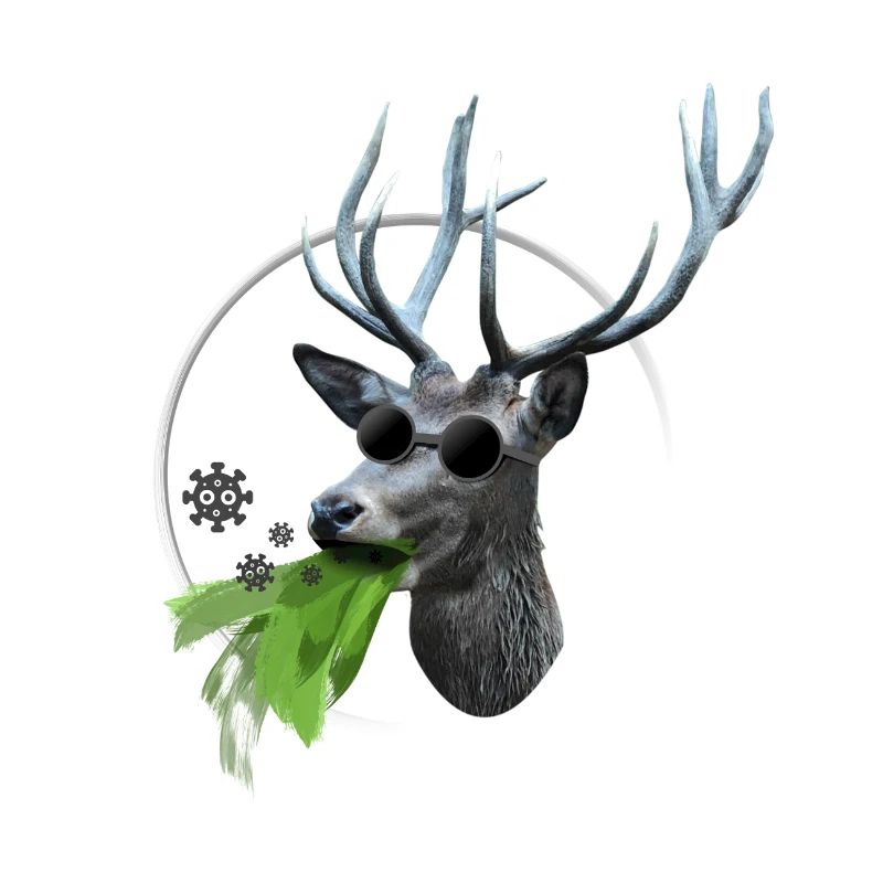 Brise-lames Hirsch