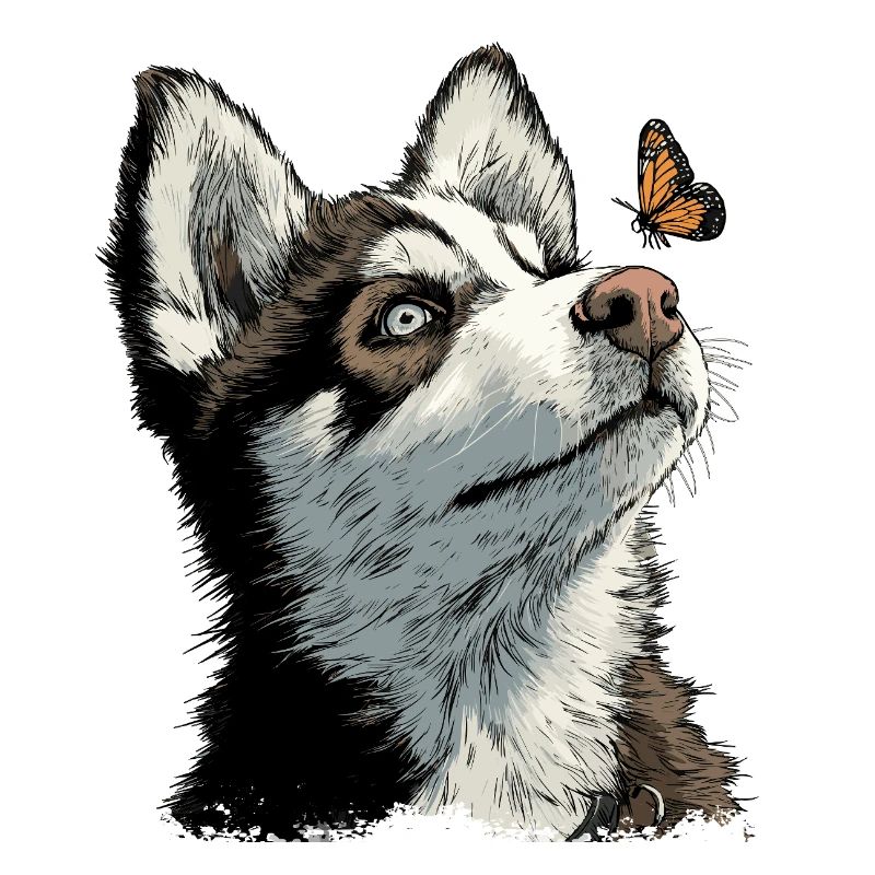 Curious husky puppy and butterfly