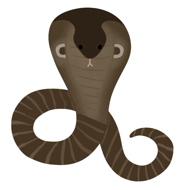Stylish Cobra Illustration for Apparel