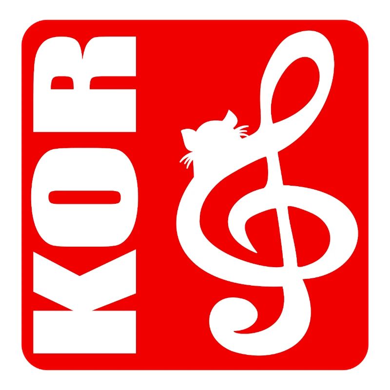 CHAT DE CONDUITE