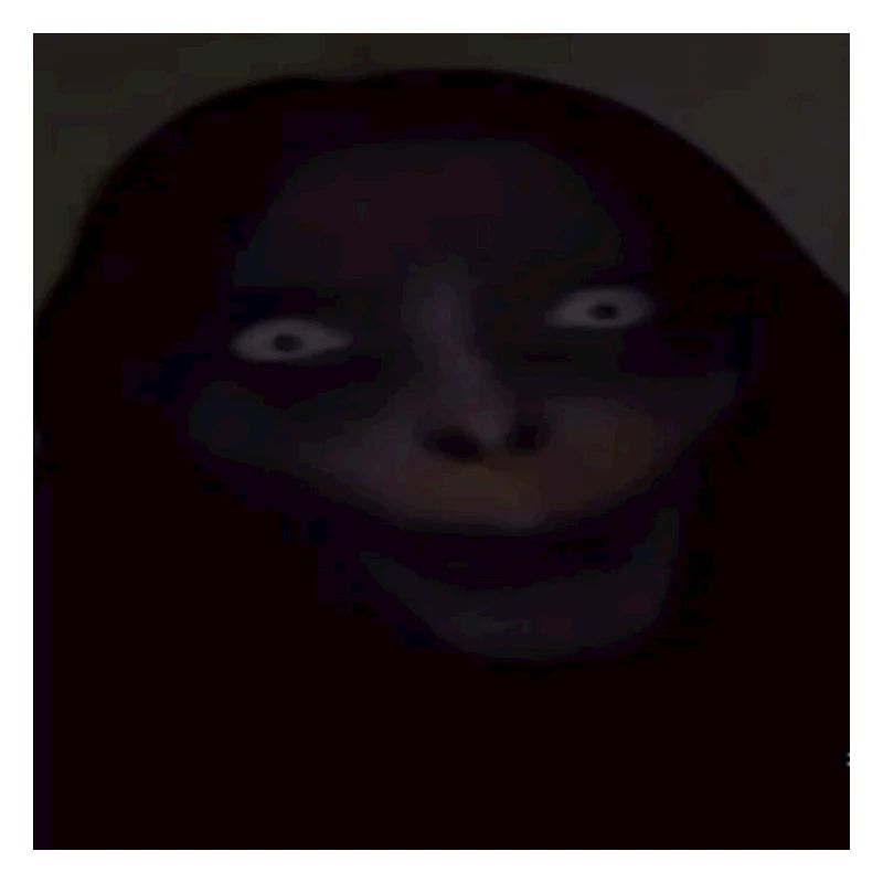 Regard nocturne à capuche