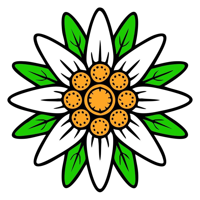 Edelweiss