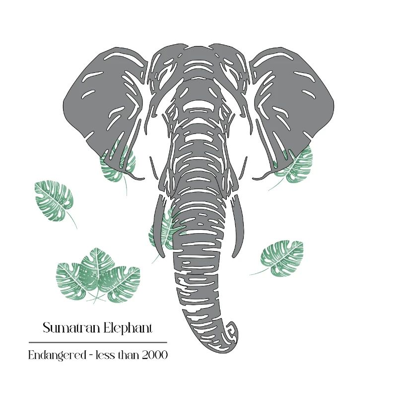 Sumatran_Elephant_-_grey