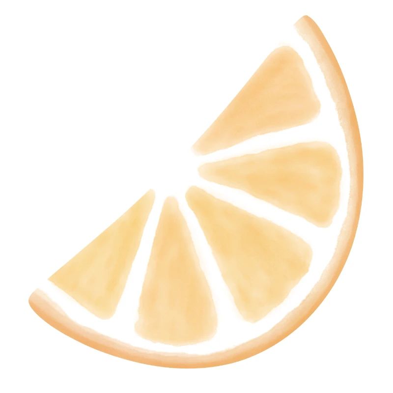 Tranche d’orange aquarelle éclat