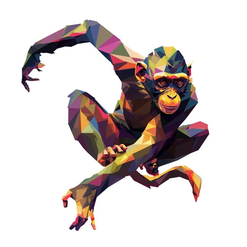 Geometric Colorful Monkey