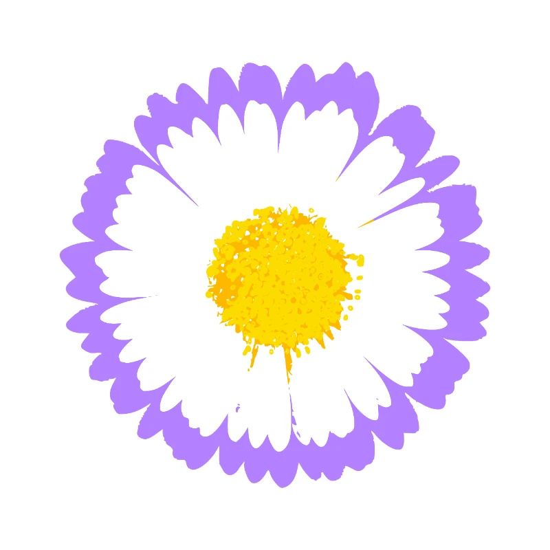 Purple Daisy Bloom with Yellow Core