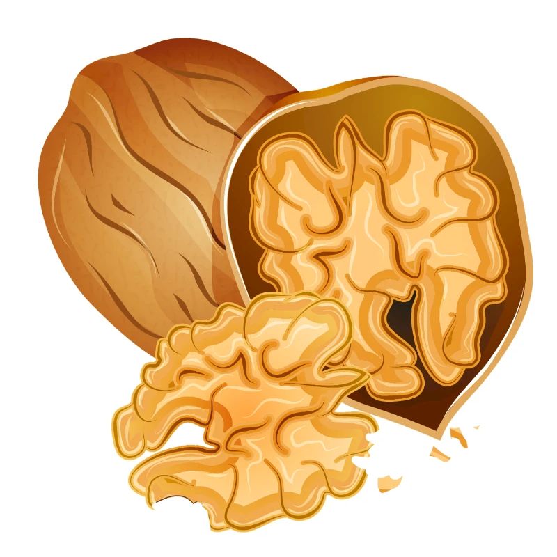 Detailed walnut with open nut