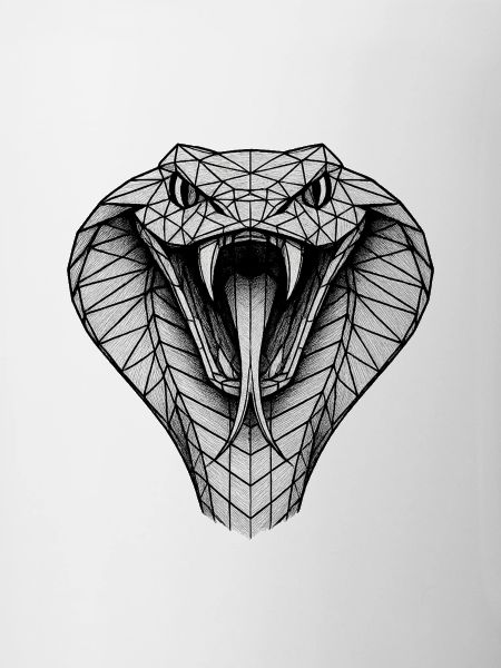 Geometric Cobra Head