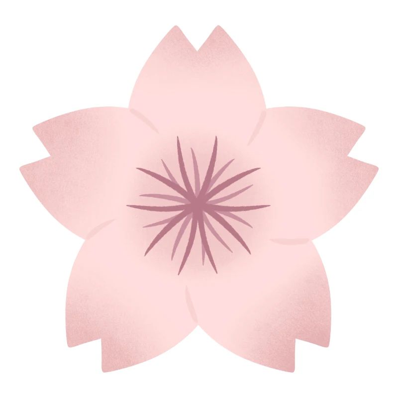 Blush Cherry Bloom