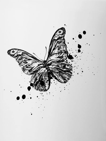 Schmetterling Illustration