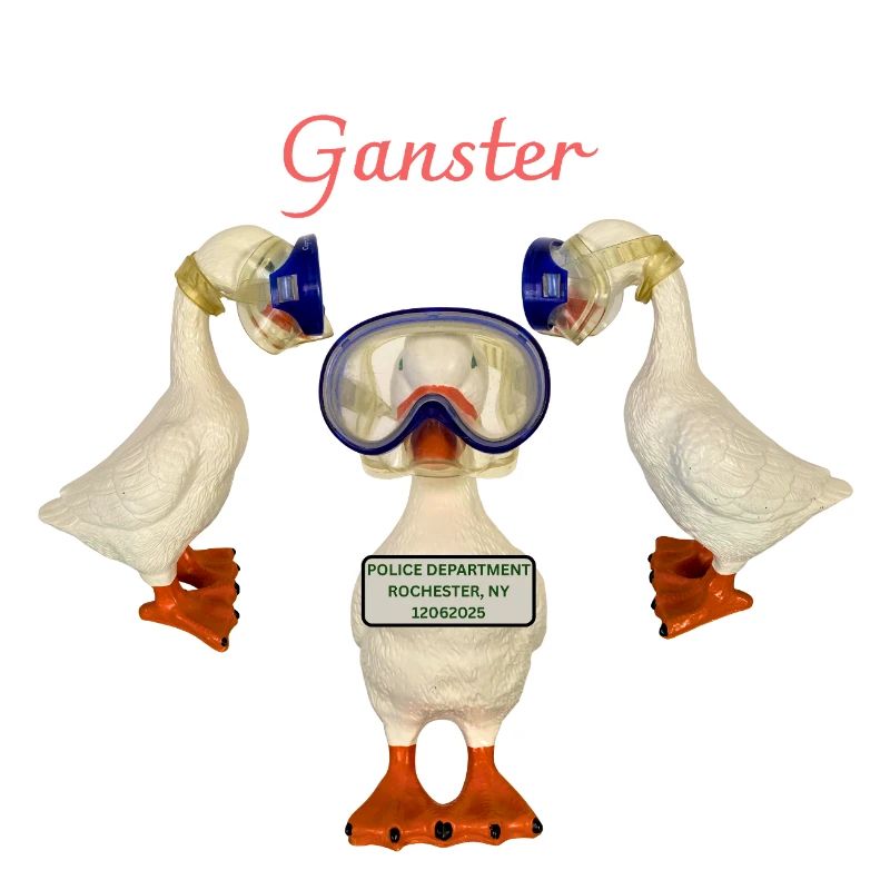 Ganster Goose arrêté