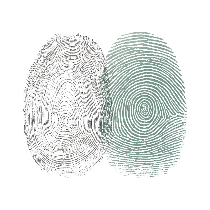 Fingerprint & Tree Rings – Nature Identity
