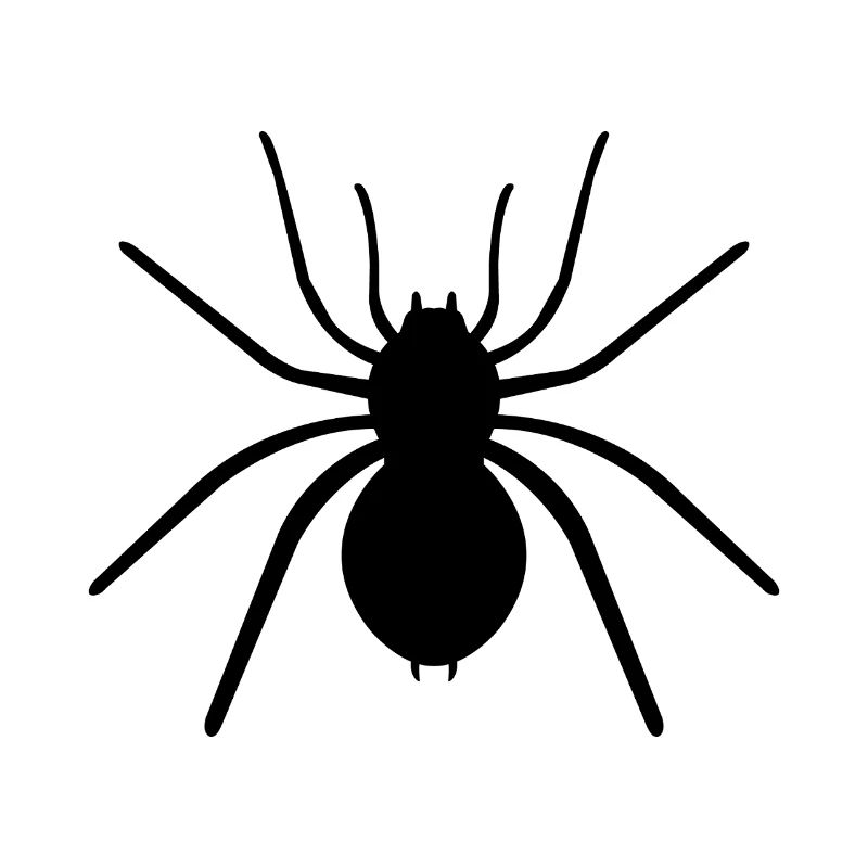 araignée