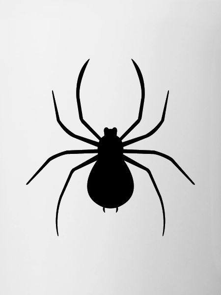 spider