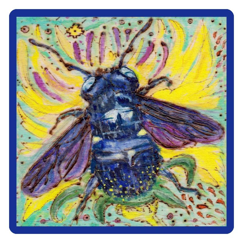 Abeille charpentière