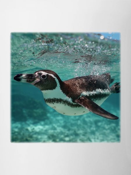 Penguin Underwater Turquoise Ocean Nature Design