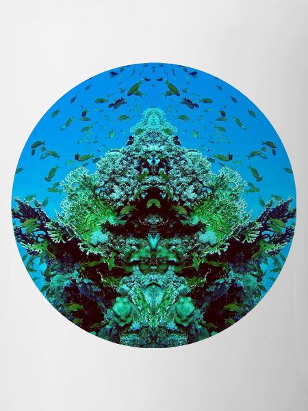 Créatures aquatiques en rouge