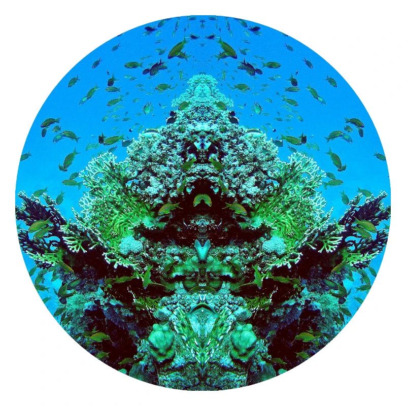 Créatures aquatiques en rouge