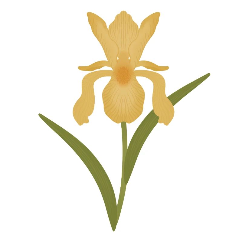 Golden Iris Bloom on Green