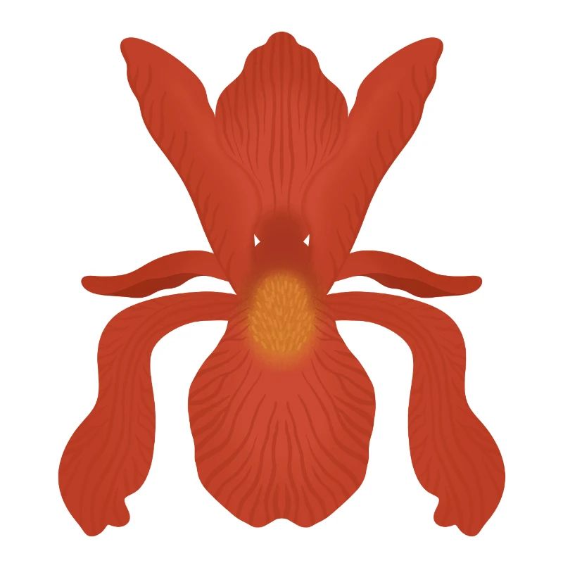 Crimson Iris Flame