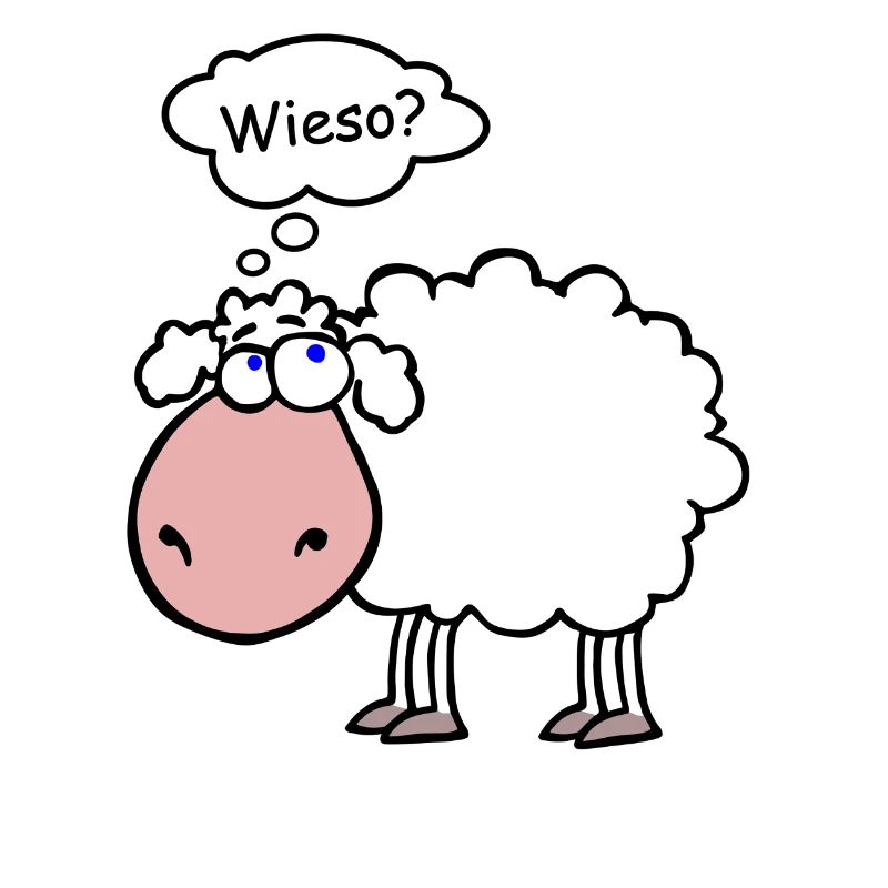 sheep sense