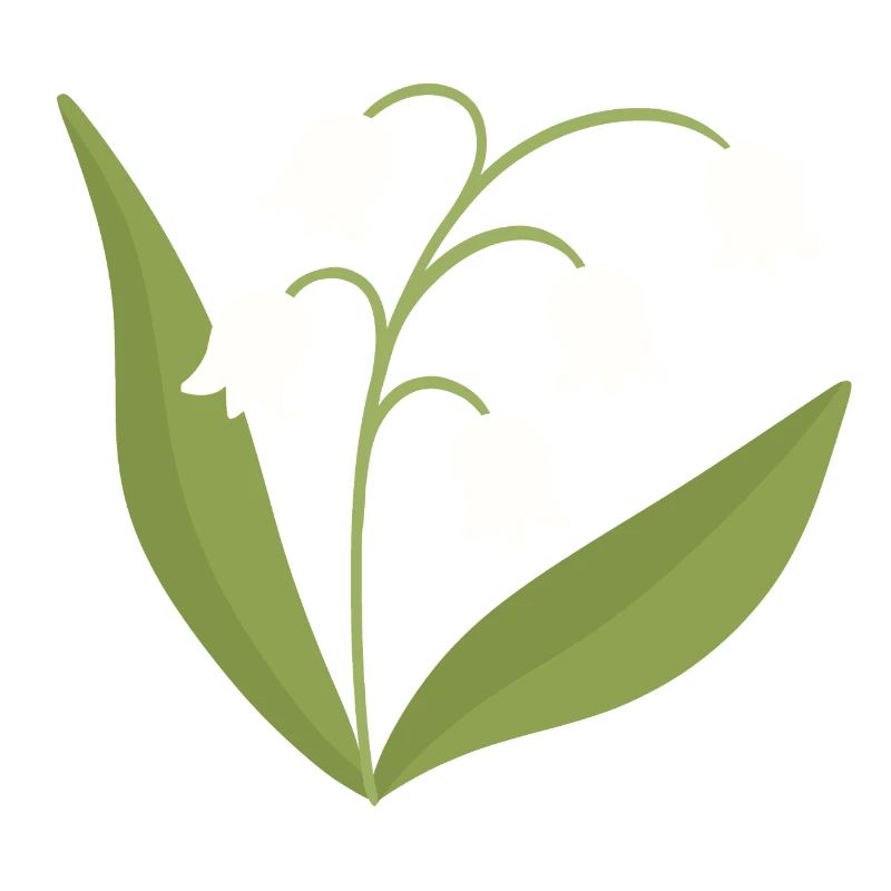Floraison du muguet