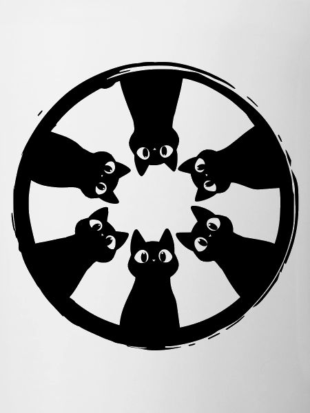 Cats circle view from above