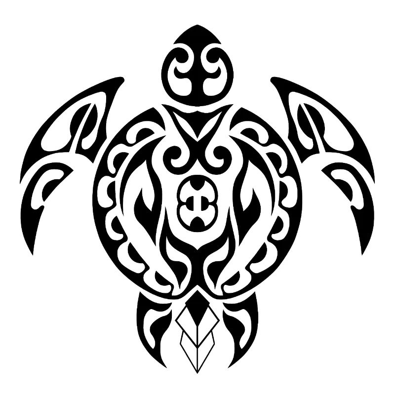 Turtle-3-Black