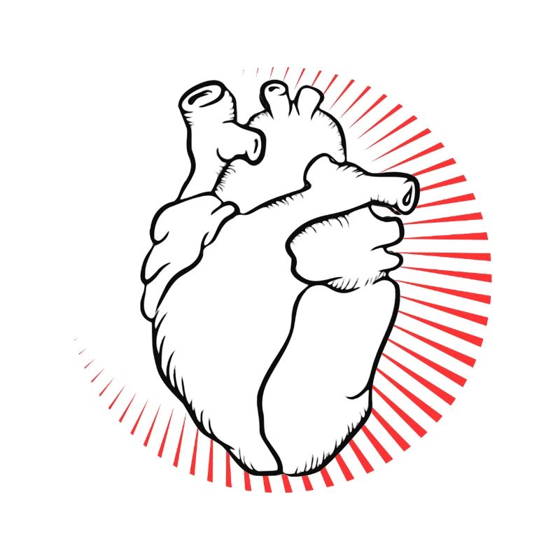 Anatomisches Herz mit rotem Strahlenkranz