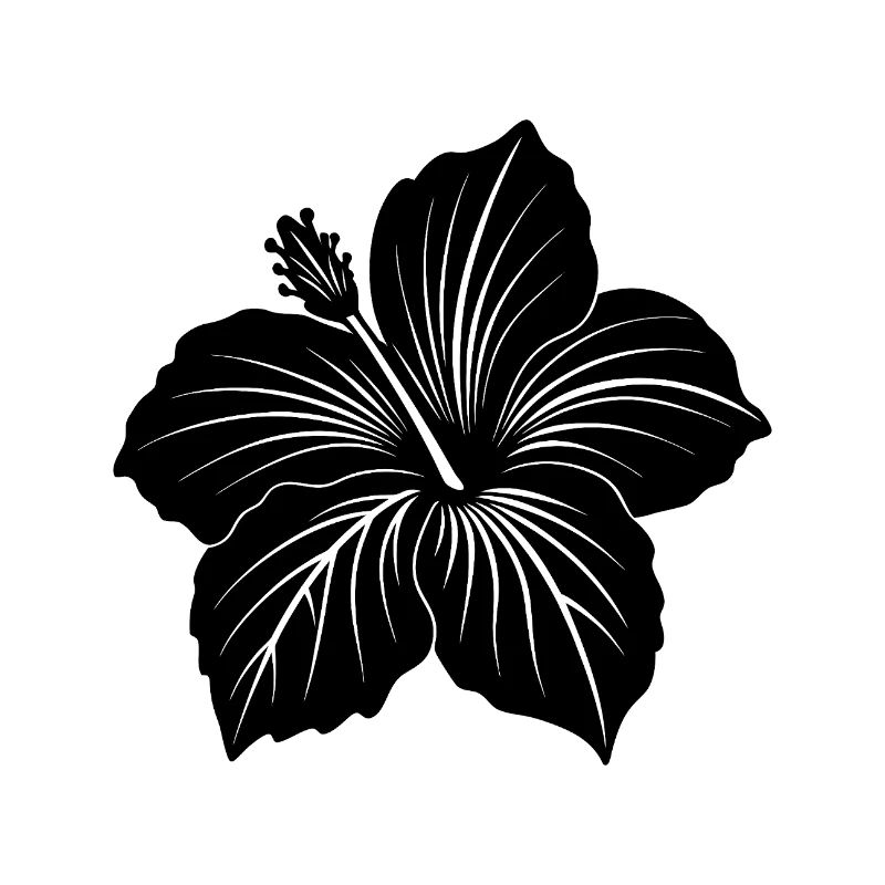Fleur d’hibiscus