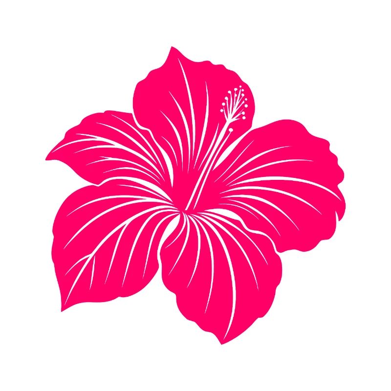 Fleur d’hibiscus