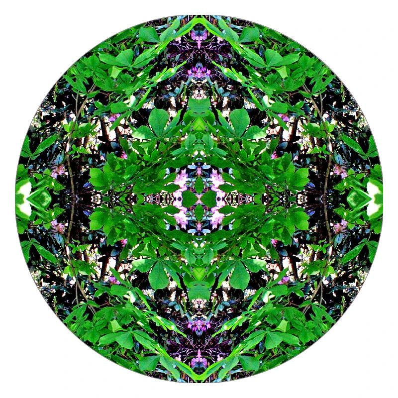 Nature Mandala Erlenstegen