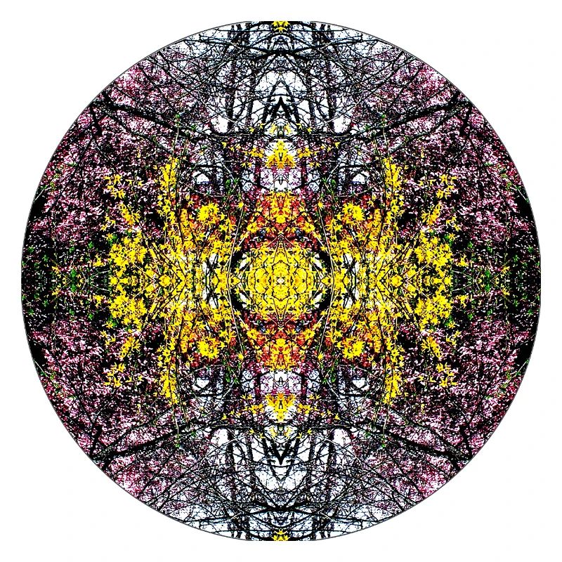 Source du Mandala de la nature dans le parc municipal