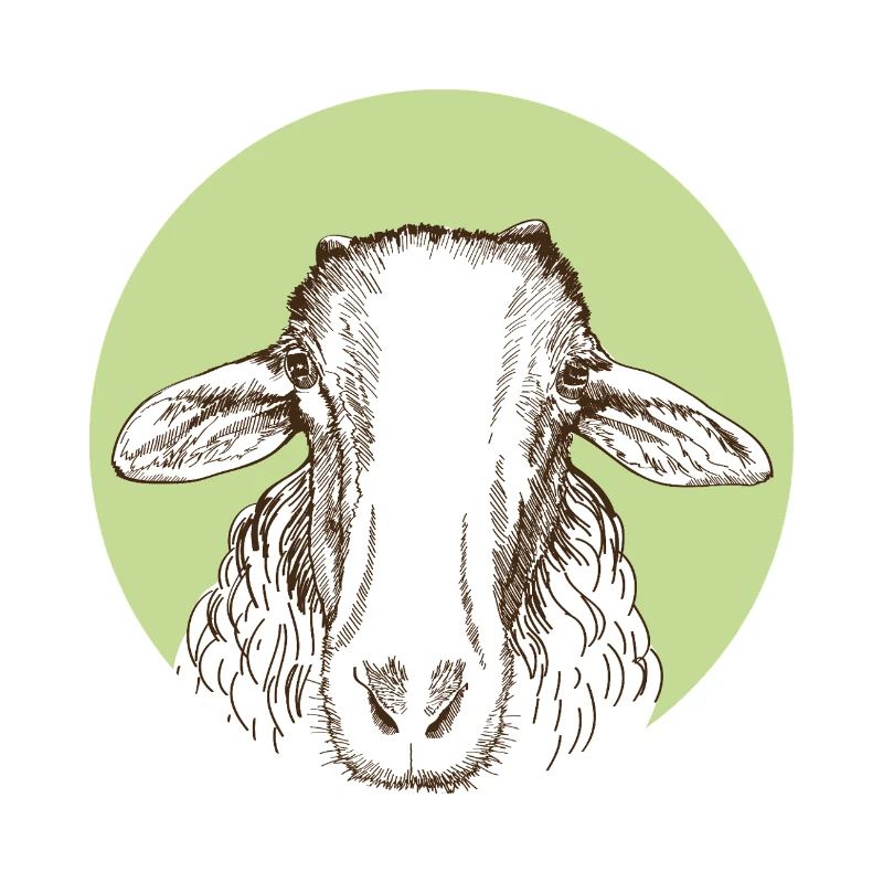 Mouton