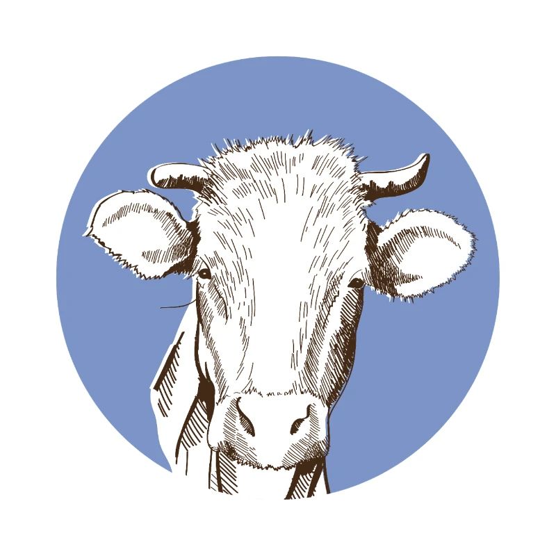 Vache