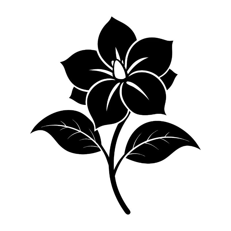 Fleur de jasmin